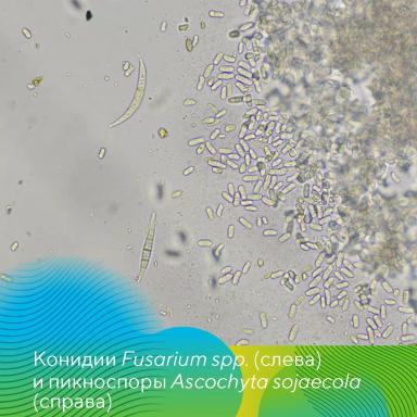 Экспедиция на Орловщину