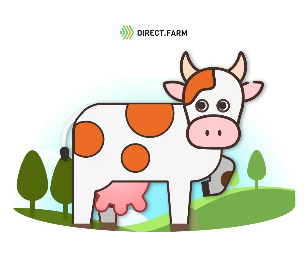 Как помочь корове не бояться сородичей?