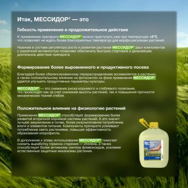 Замедление выработки гормонов-гиббереллинов