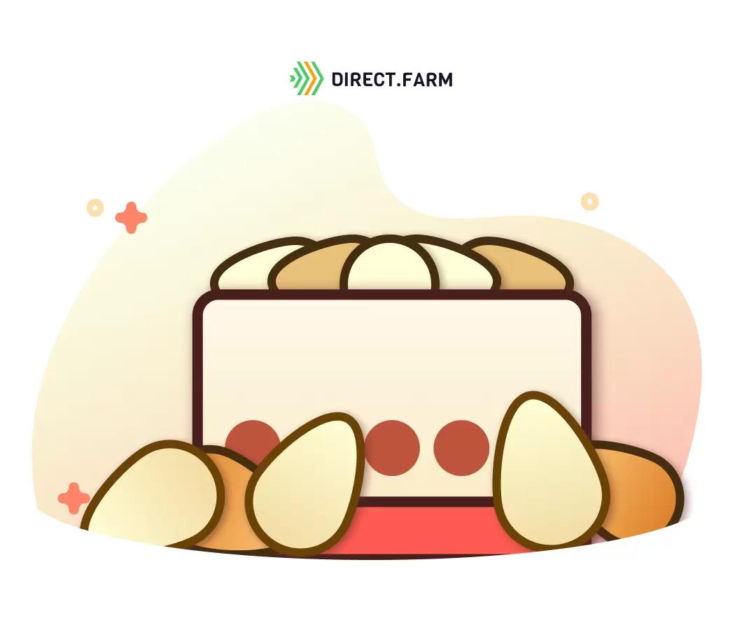 Как правильно овоскопировать куриные яйца? 