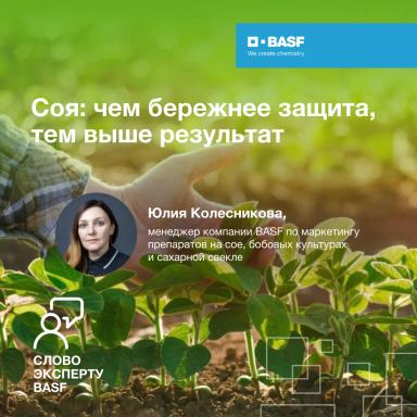 Соя: чем бережнее защита, тем выше результат