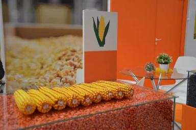 Интервью специалистов компании КВС РУС в преддверии «ЮГАГРО 2021»