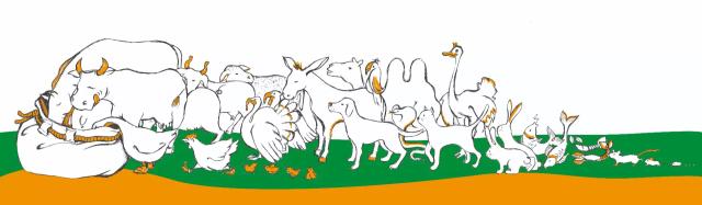 Новорожденные телята – иммунный статус и влияние молозива