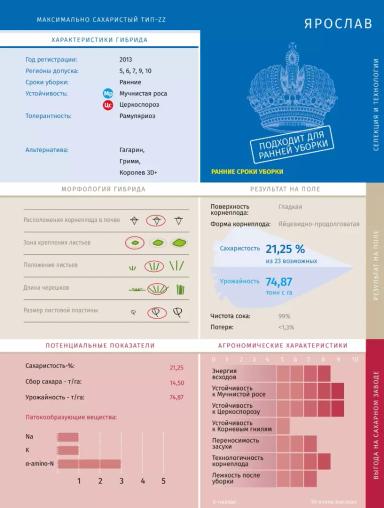 Ярослав - свекла сахарная Штрубе Рус