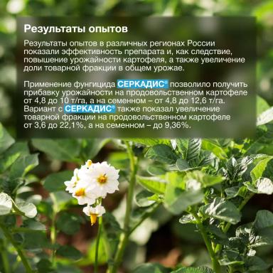 Надёжная защита от ризоктониоза