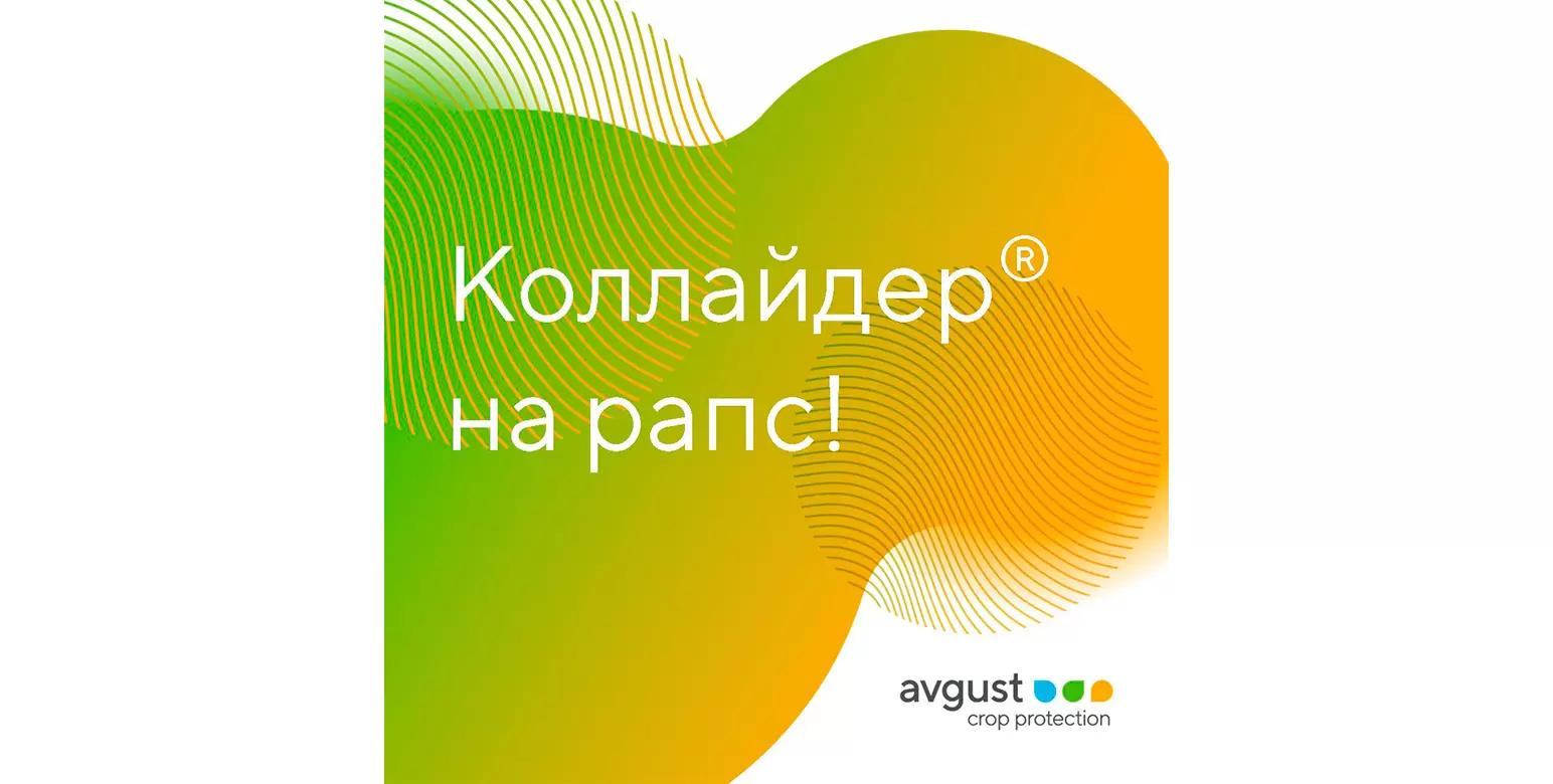 Инсектицид Коллайдер® получил расширение регистрации на рапс
