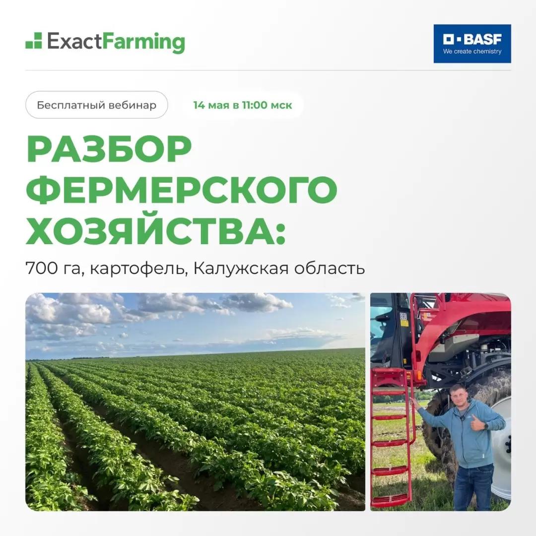 🥔 Практический вебинар по картофелю