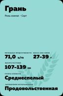 Грань рожь озимая