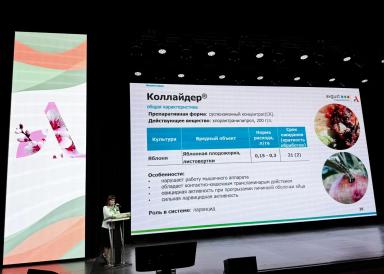 Стартовал международный форум для садоводов «Абрикос»!