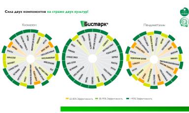 БИСМАРК® - УБОЙНАЯ КОМБИНАЦИЯ НА ЗАЩИТЕ СОИ!