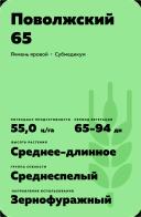 Поволжский 65