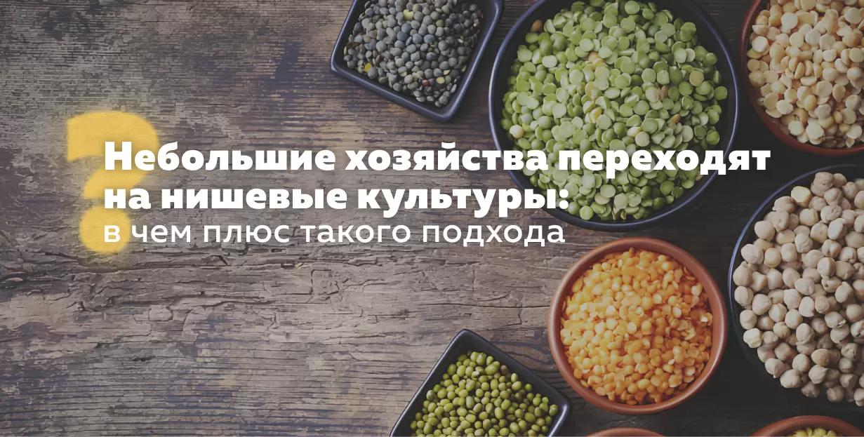 Небольшие хозяйства переходят на нишевые культуры: в чем плюс такого подхода