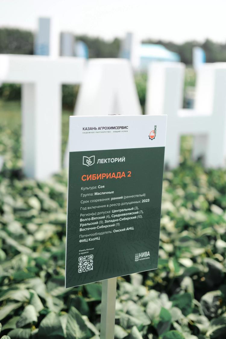 Как растет соя в Татарстане? Покажем и расскажем на "Агроволге"    • 65