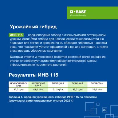 ИНВ 115: результат 20 лет селекционной работы