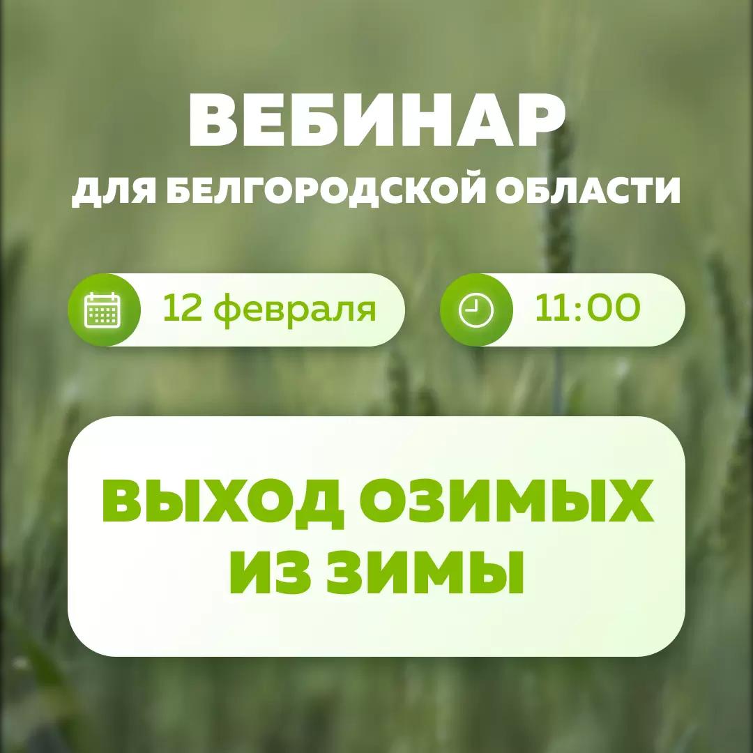 Вебинар "Эффективный выход из зимы"