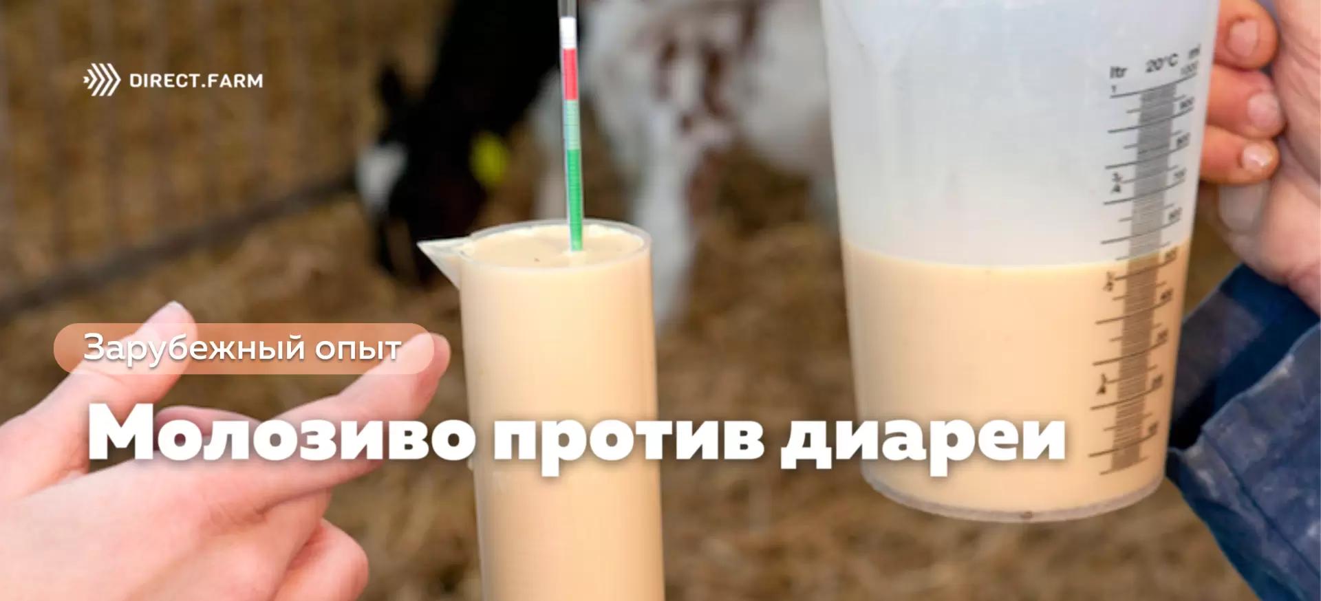 Молозиво как средство от диареи