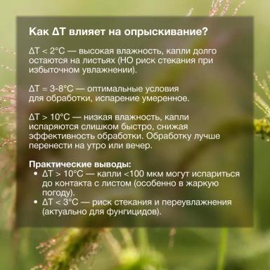 🌿 Влажность воздуха — главный союзник защиты растений!