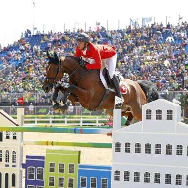 Французская верховая порода (французский сель)