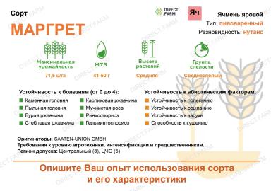 Маргрет (MARGRET)