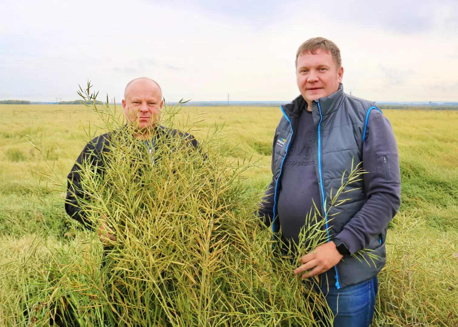 Слово партнерам «Августа». ООО «МИТК»