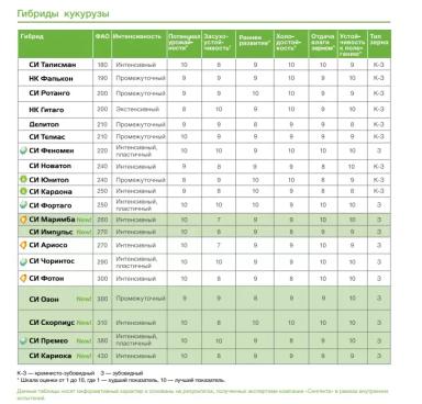 СИ Юнитоп - гибрид кукурузы ( Zea mays L.).