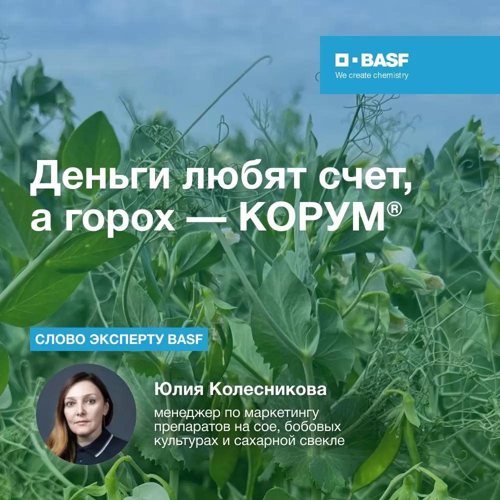 Деньги любят счёт, а горох — КОРУМ®