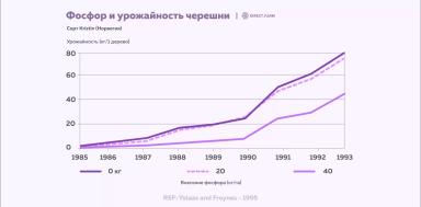 Как увеличить размер и массу плодов косточковых: элементы питания