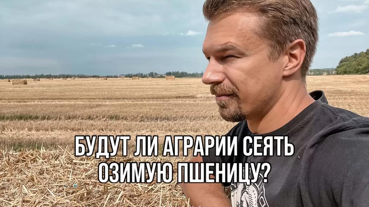 БУДУТ ЛИ АГРАРИИ СЕЯТЬ ОЗИМУЮ ПШЕНИЦУ? ОТВЕТ 1000 АГРАРИЕВ