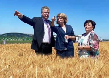 «Август» на «Всероссийском Дне поля-2024». День второй