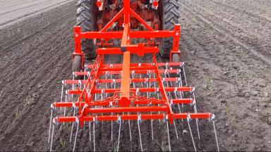 Штригельная борона для прополки чеснока