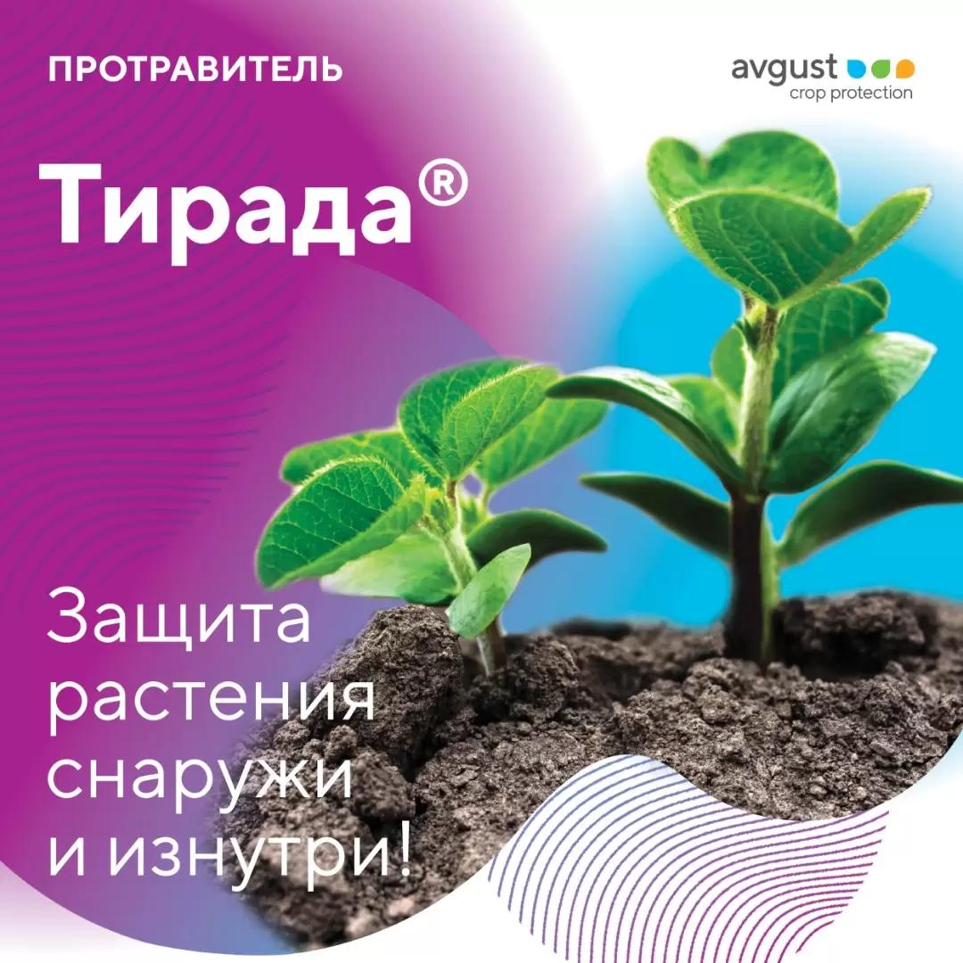 Самое время задуматься о надежной защите семян