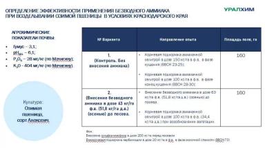 Эффективность внесения безводного аммиака. Первые результаты!