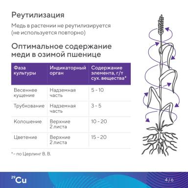 «Элементарно об элементах!»: медь