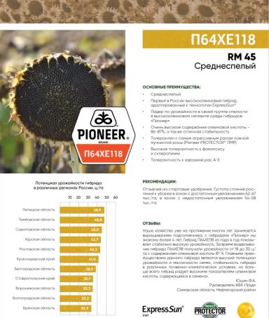 П 64 ХЕ 118 - гибрид подсолнечника Пионер