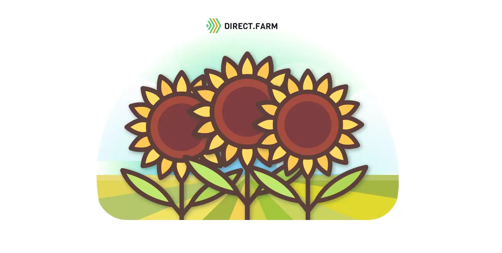 Проверка качества земли