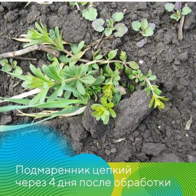 Вести с полей. Татарстан