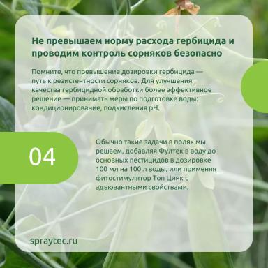 Послевсходовые гербициды: как потушить гербицидный стресс и сохранить горох