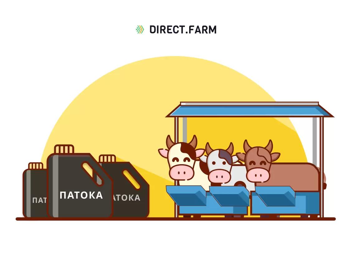 Как влияет свекловичная патока на продуктивность коров?