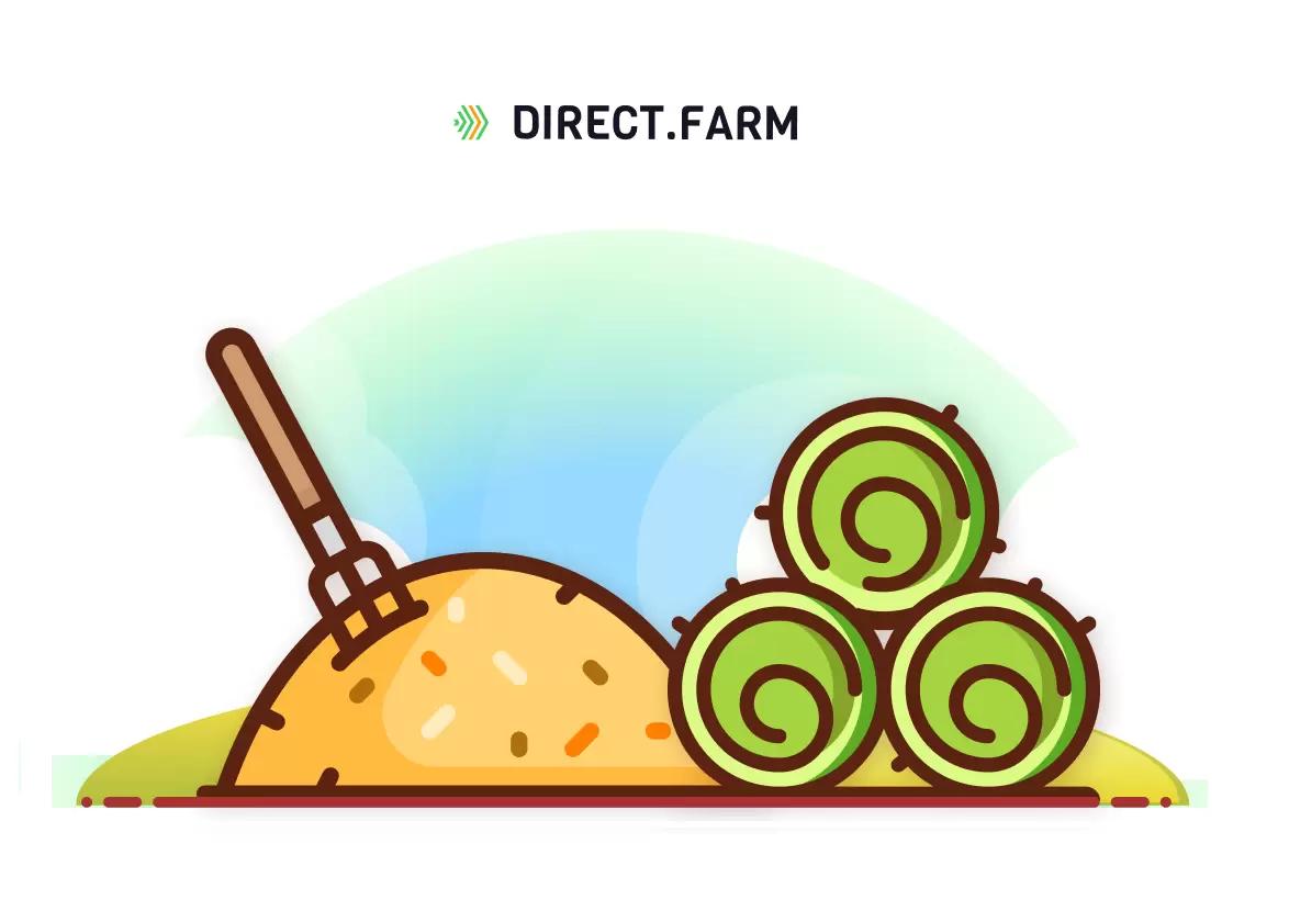В какие сроки косить люцерну на сено и сенаж?