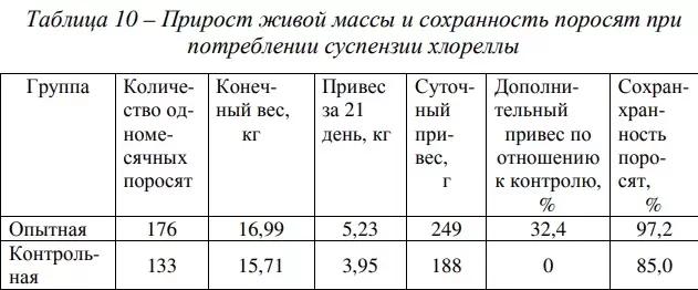 "Живая Хлорелла" для свиноферм