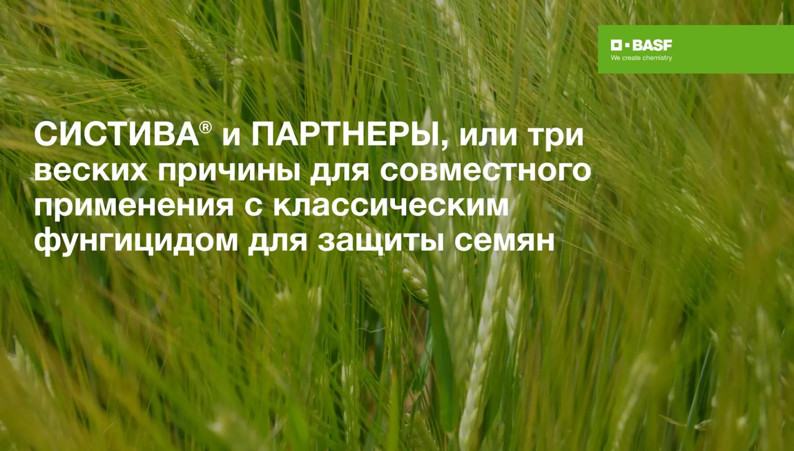 СИСТИВА® и партнеры