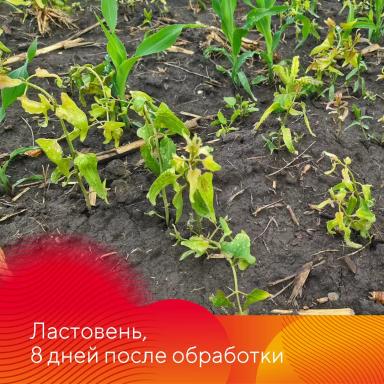Работает Фултайм®
