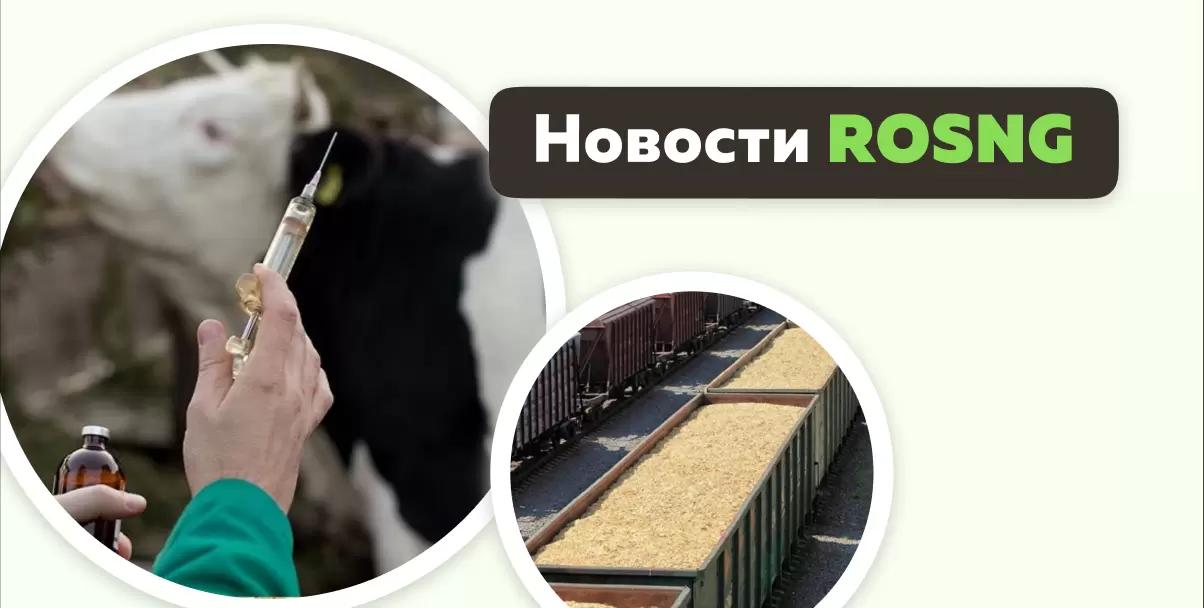 Обзор новостей за 28 сентября