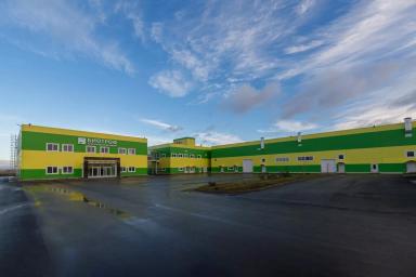 ЗАКВАСКИ BACILLUS: БЕЗОПАСНЫ И ЭФФЕКТИВНЫ.