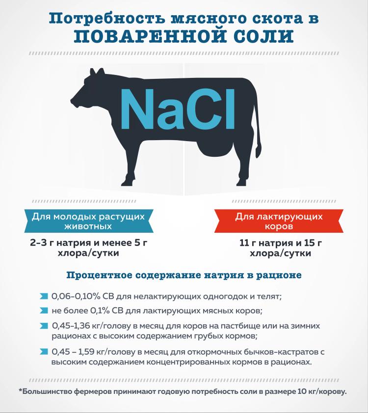 Потребность мясного скота в поваренной соли