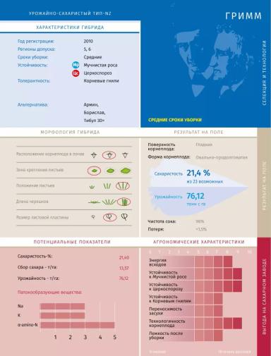 Гримм - гибрид свеклы сахарной Штрубе Рус