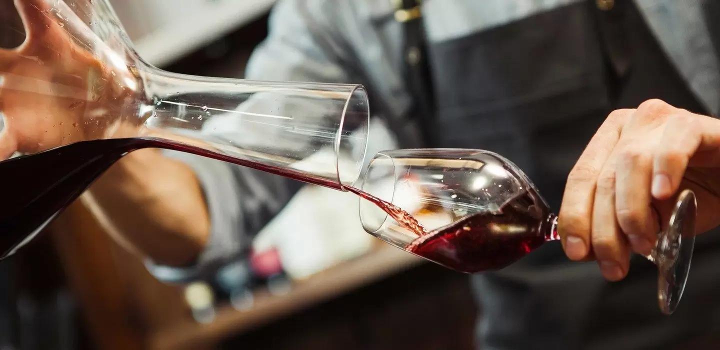 Минсельхоз хочет ввести подготовку сомелье в российских аграрных вузах