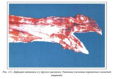 Вегад - Атлас болезней птицы. Ч. 21, 22. Дефициты витаминов А, Е
