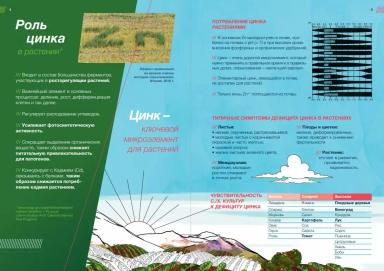 Антракол в защите яблони от парши