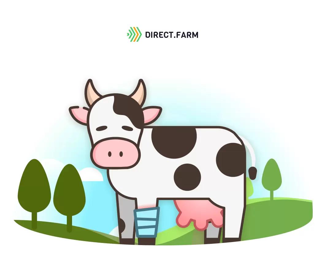 Рекомендации по устранению заболеваний конечностей у коров